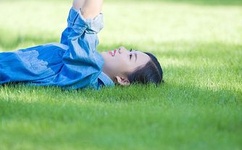 红色一片在线观看视频免费播放